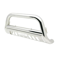 E-Series Bull Bar