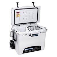 Beverage Cooler