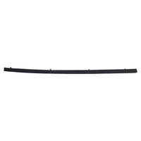 Door Glass Weatherstrip, Left Front Inner