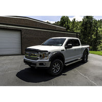 Auto Ventshade (AVS) 436096 Aeroskin II Textured Black Flush Mount Hood Protector for 2015-2020 Ford F-150 Excludes Raptor